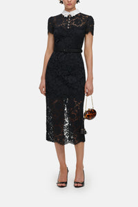 Self-Portrait Self-Portrait Women Black Lace Contrast Collar Midi Dress