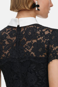 Self-Portrait Self-Portrait Women Black Lace Contrast Collar Midi Dress