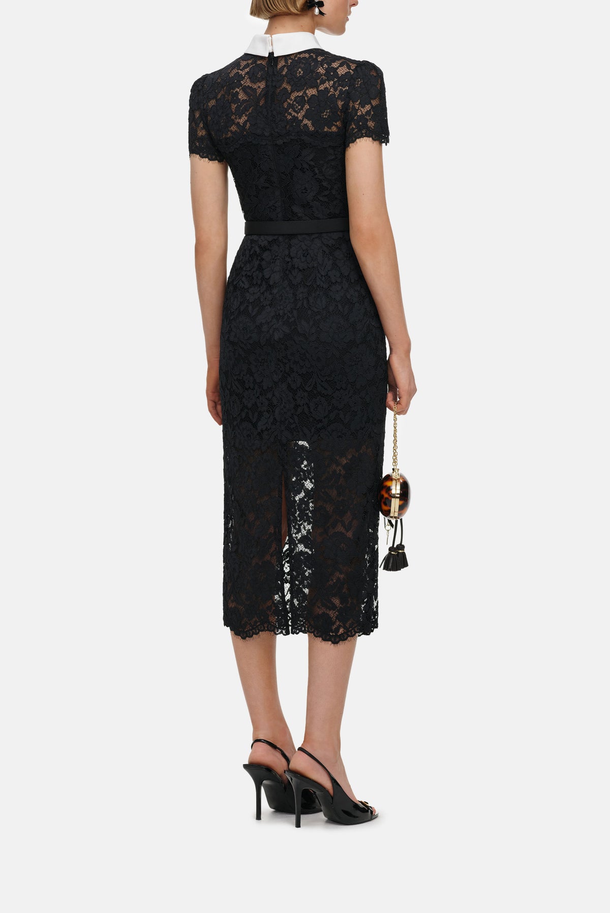 Self-Portrait Self-Portrait Women Black Lace Contrast Collar Midi Dress