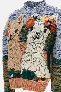 Stella Mccartney Women Alpaca Jacquard Jumper