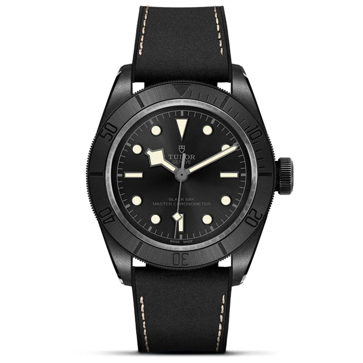 Tudor Men's Black Bay Black Dial Watch - M79210CNU-0001