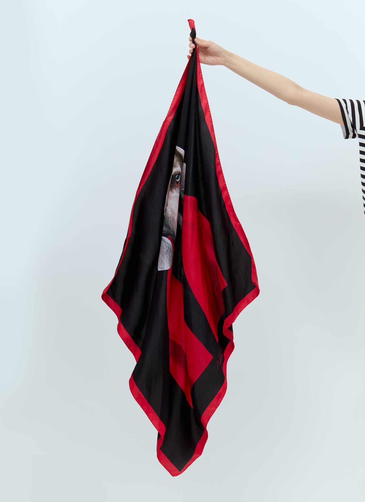 Max Mara Max Mara Women Printed Silk Scarf