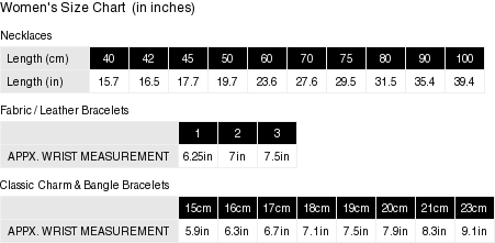 Pandora Me Silver Double Link Charm