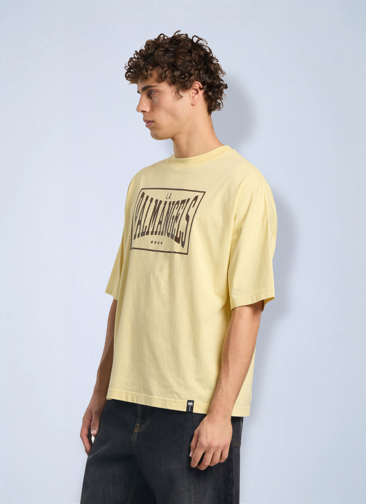 Palm Angels Palm Angels Men Vintage Box Logo Loose T-Shirt