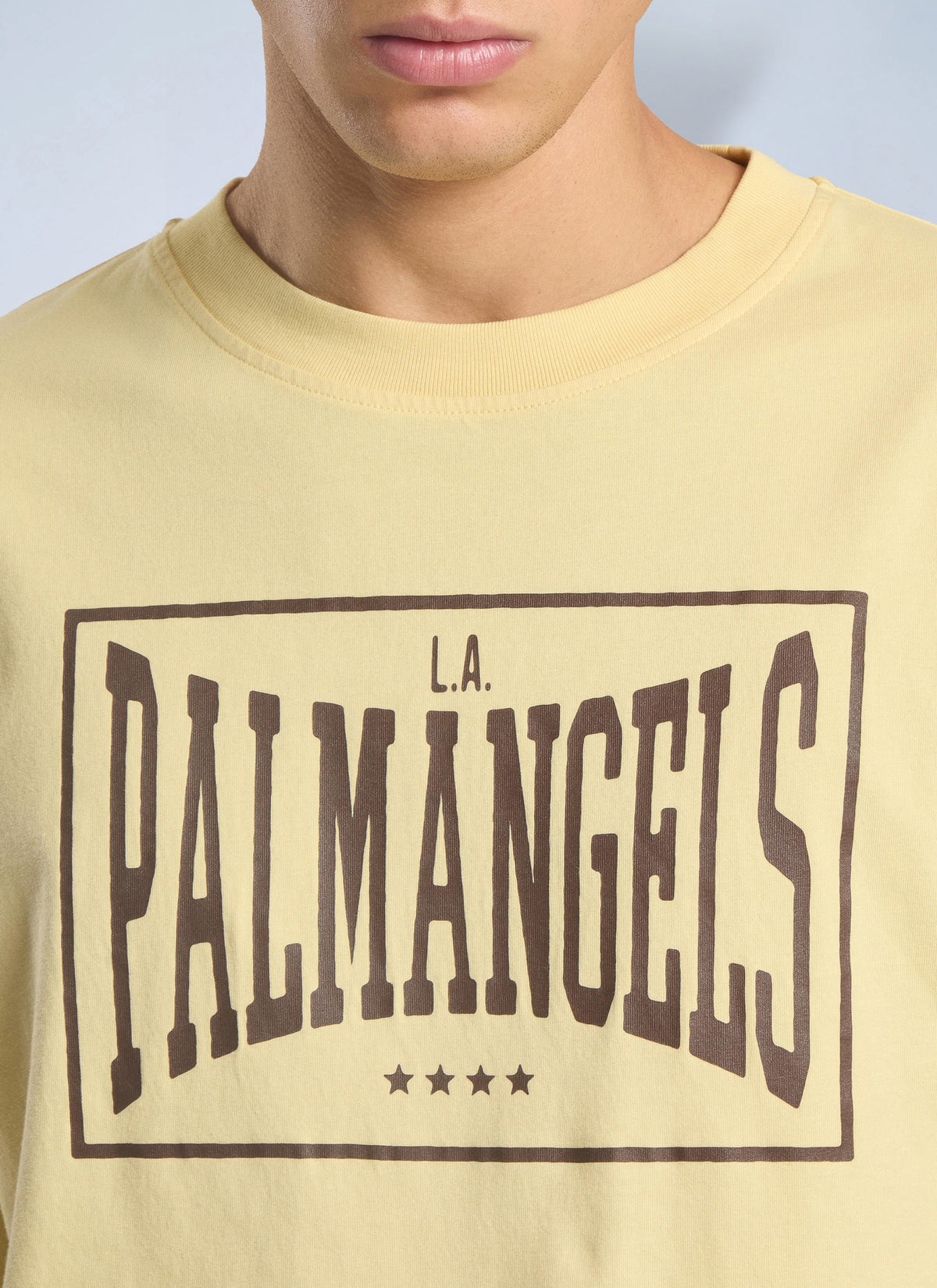 Palm Angels Palm Angels Men Vintage Box Logo Loose T-Shirt