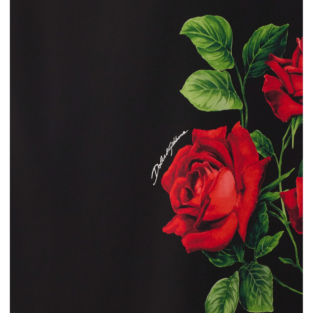 Dolce&Gabbana Dolce&Gabbana Women Roses Print Midi Skirt