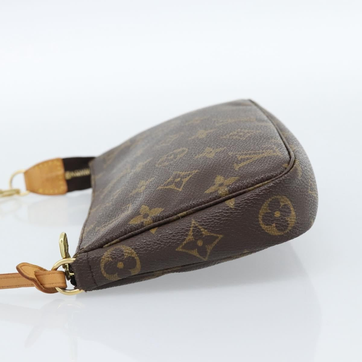 Louis Vuitton Pochette Accessoires Nm Monogram Canvas Brown Canvas Clutche & Pouche Bag (Pre-Loved)