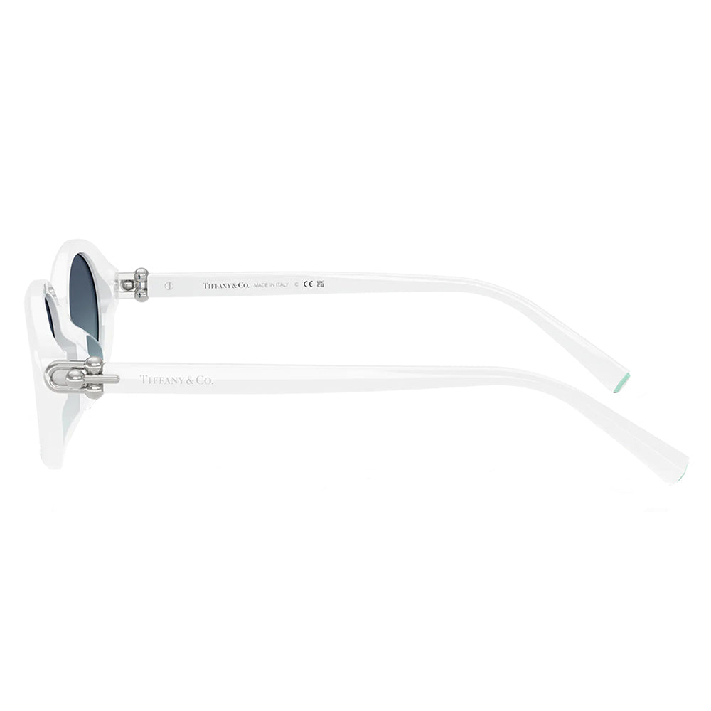 TF 4242D 83929S 54mm Womens Oval Sunglasses