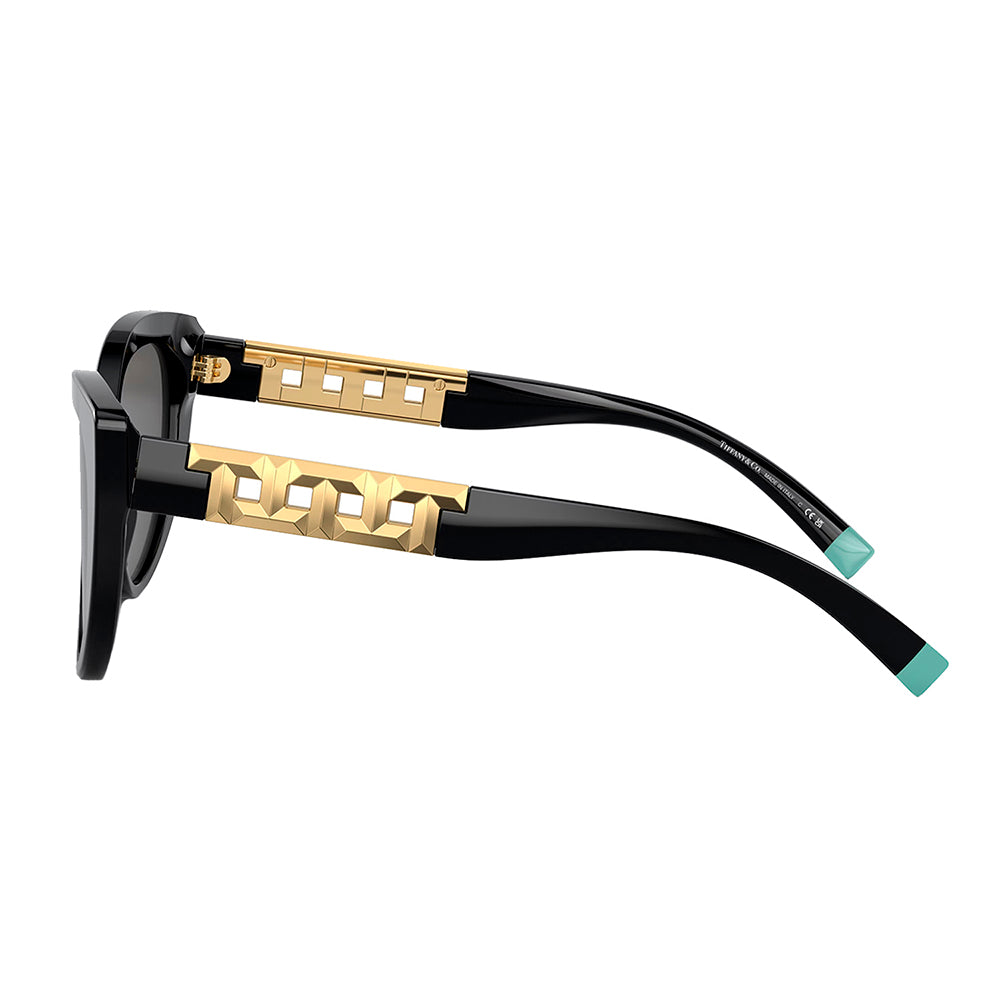 TF 4196 8001S4 56mm Womens Cat-Eye Sunglasses