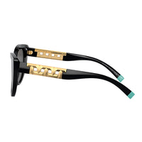 TF 4196 8001S4 56mm Womens Cat-Eye Sunglasses