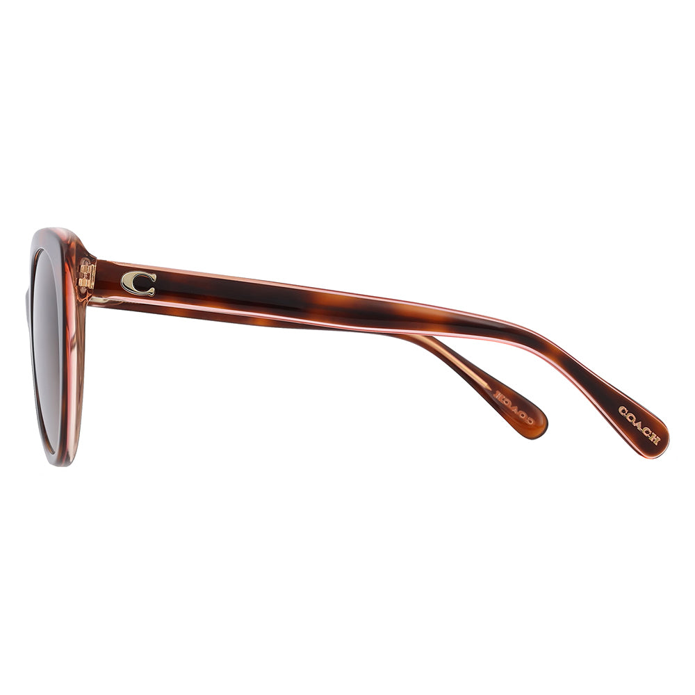 HC 8365U 574413 55mm Womens Cat-Eye Sunglasses