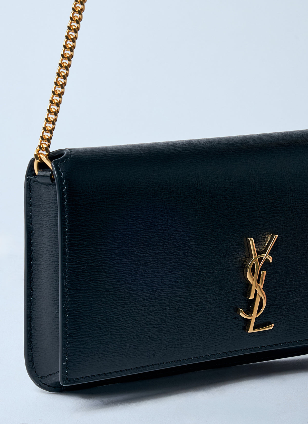 Saint Laurent Saint Laurent Women Cassandre Phone Case On Chain