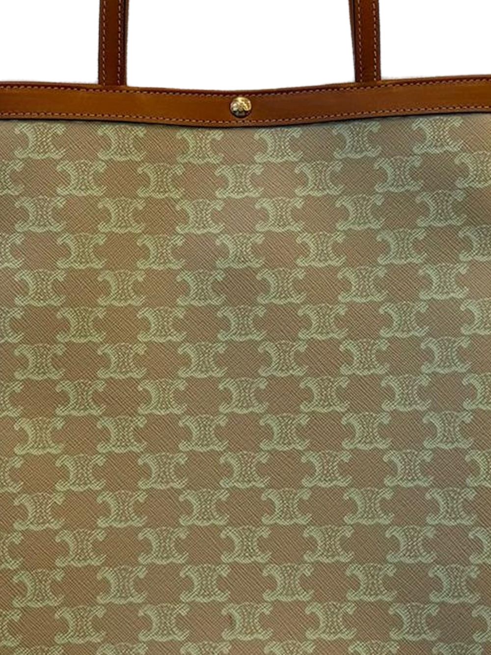 Celine Women Triomphe Canvas Medium Tote Bag
