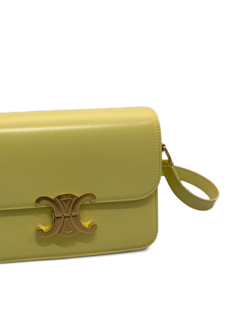 Celine Women Triomphe Teen Leather Crossbody Bag