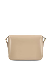 Celine Women Triomphe Teen Leather Crossbody Bag