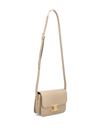 Celine Women Triomphe Teen Leather Crossbody Bag