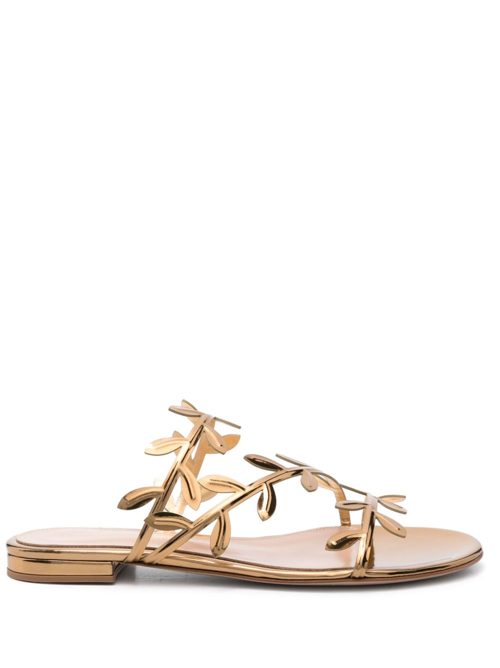 Gianvito Rossi Women Flavia Flat Sandals