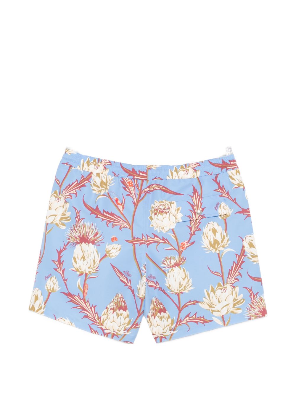 Loewe Paula's Ibiza Men Printed Swim Shorts