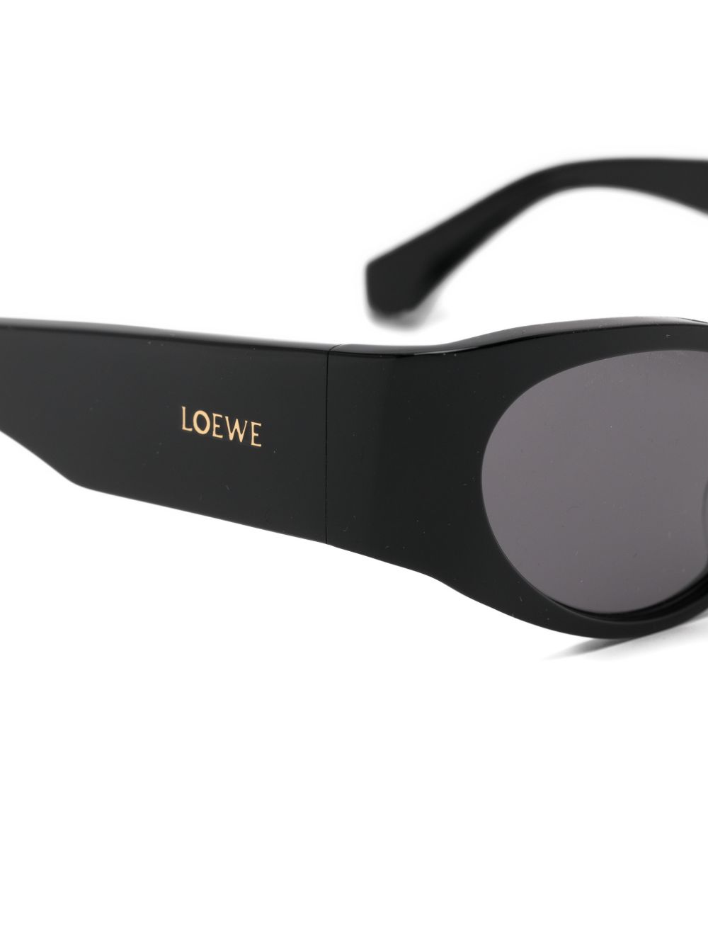 LOEWE PAULA'S IBIZA Loewe Paula's Ibiza Women Cat-Eye Sunglasses