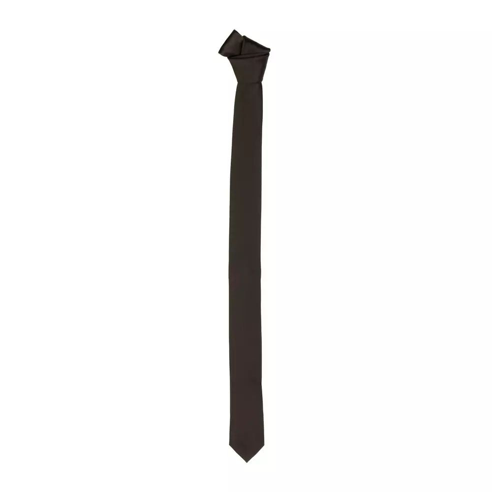 Emilio Romanelli Elegant Burgundy Silk Slim Tie - Men's 40mm
