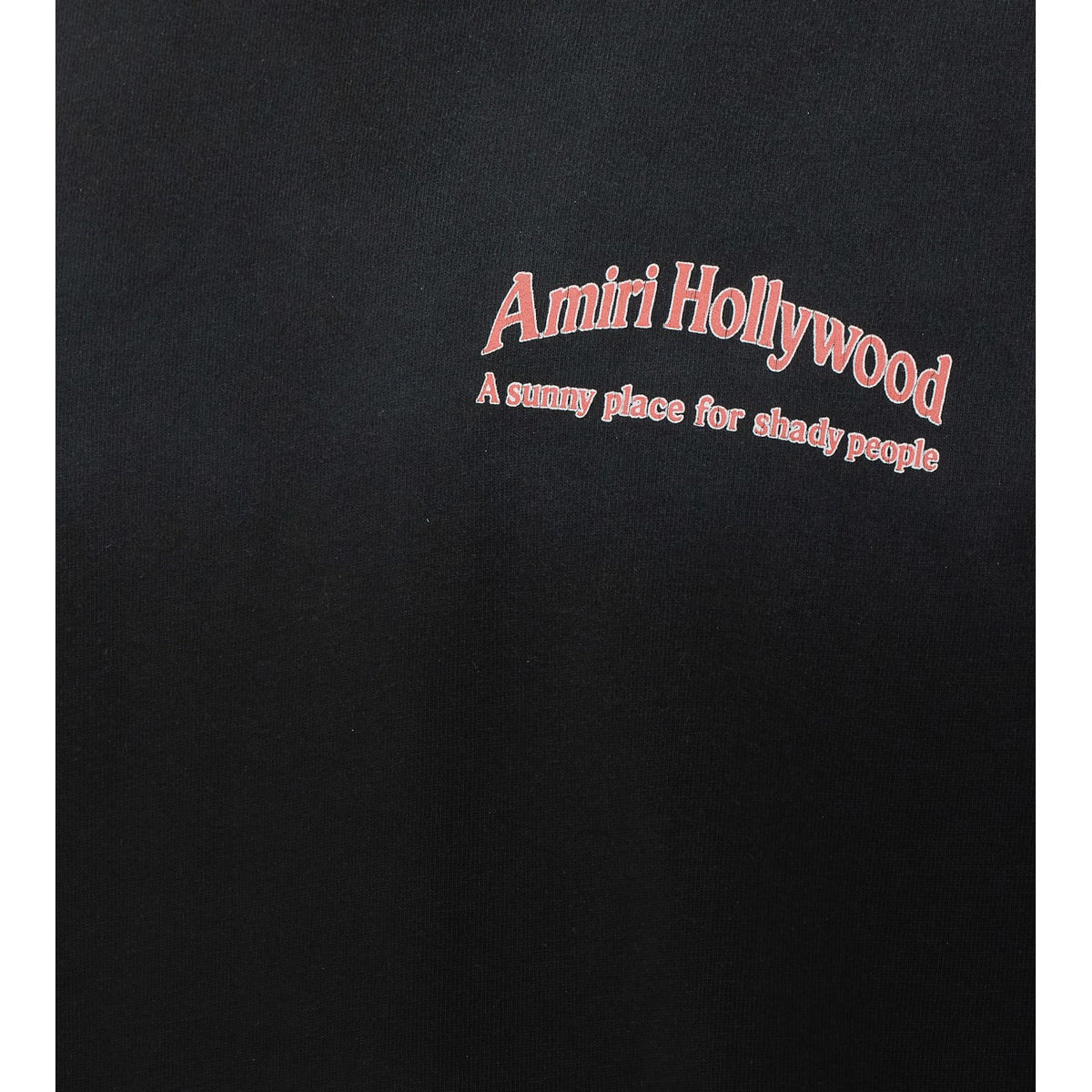 Amiri Amiri Men Sunny Place Skate T-Shirt