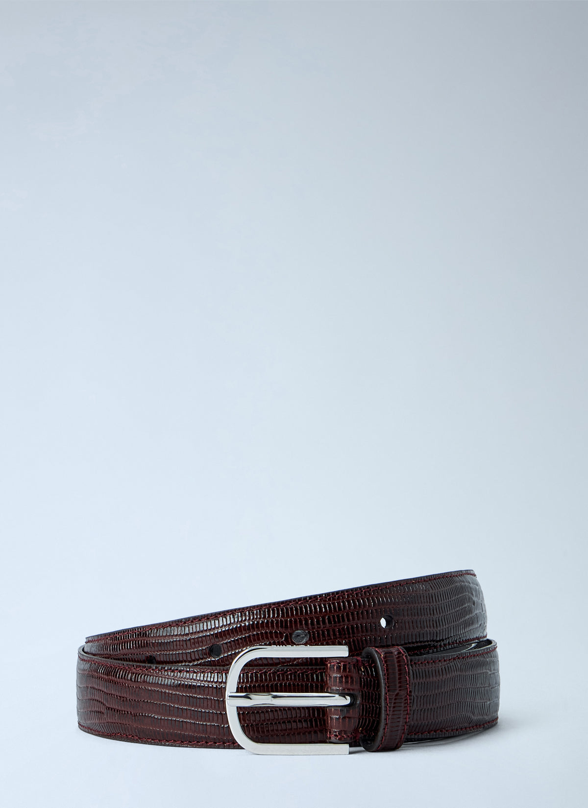 Toteme Toteme Women Slim Lizard-Embossed Belt