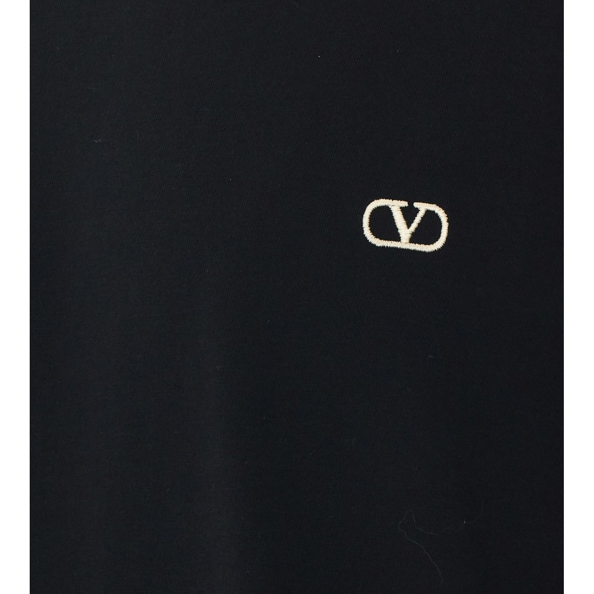 Valentino Garavani Men Vlogo Signature T-Shirt