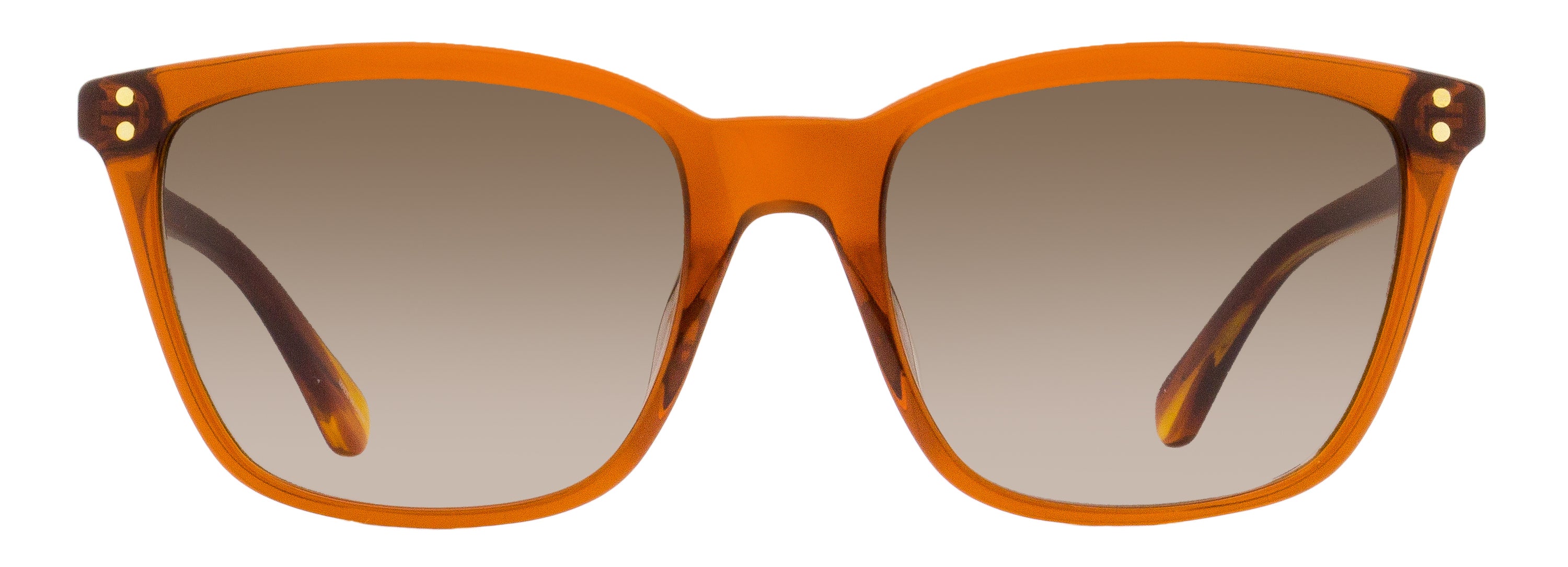 Kate Spade Square Sunglasses Pavia 09QHA Brown 55mm
